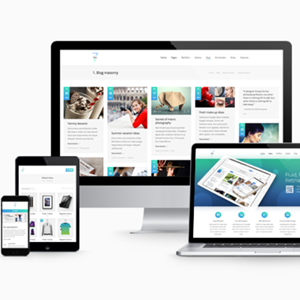 .NET软件开发与维护在山东的应用与发展