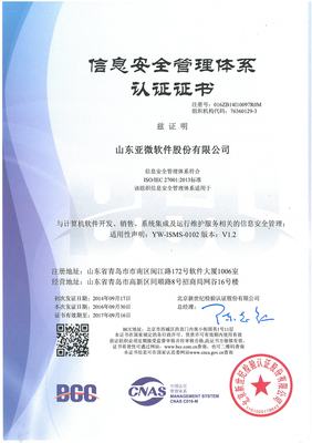 山东亚微软件股份有限公司 深耕软件开发，驱动区域数字化转型